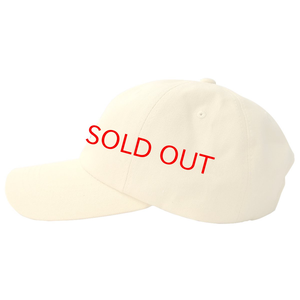 画像4: STRAPBACK CAP ワニ YELLOW (4)