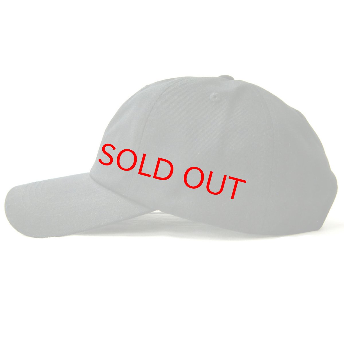 画像4: STRAPBACK CAP ワニ BLACK (4)