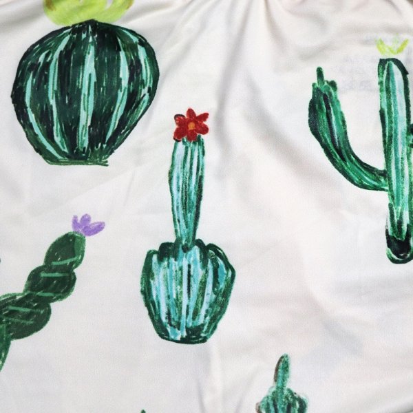 画像4: サボテン (4)