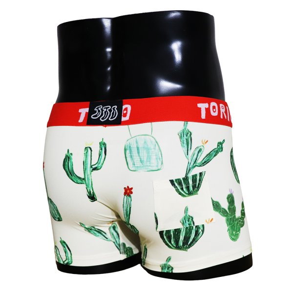 画像2: サボテン (2)