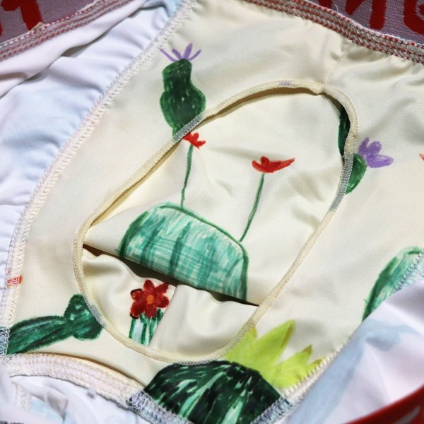 画像5: サボテン (5)