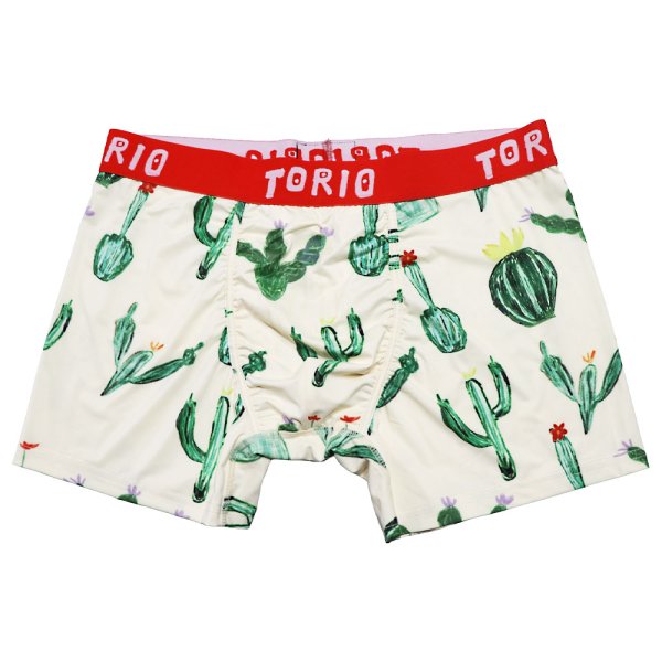 画像3: サボテン (3)