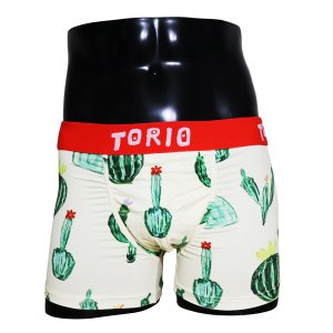 画像: サボテン